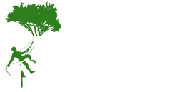 Tree Surgery Barnet from Majestic Tree Care Ltd Logo